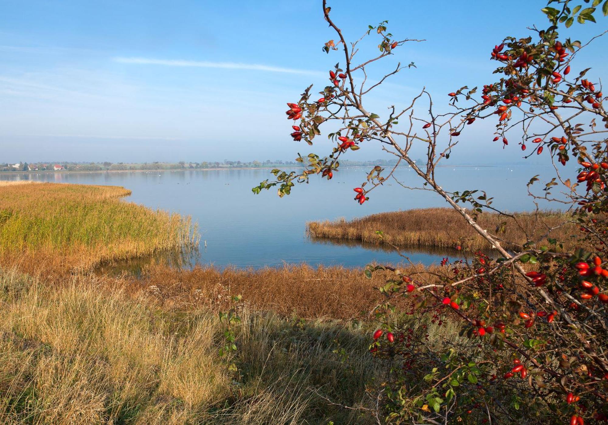 Gaude Tiet Daire Insel Poel Dış mekan fotoğraf