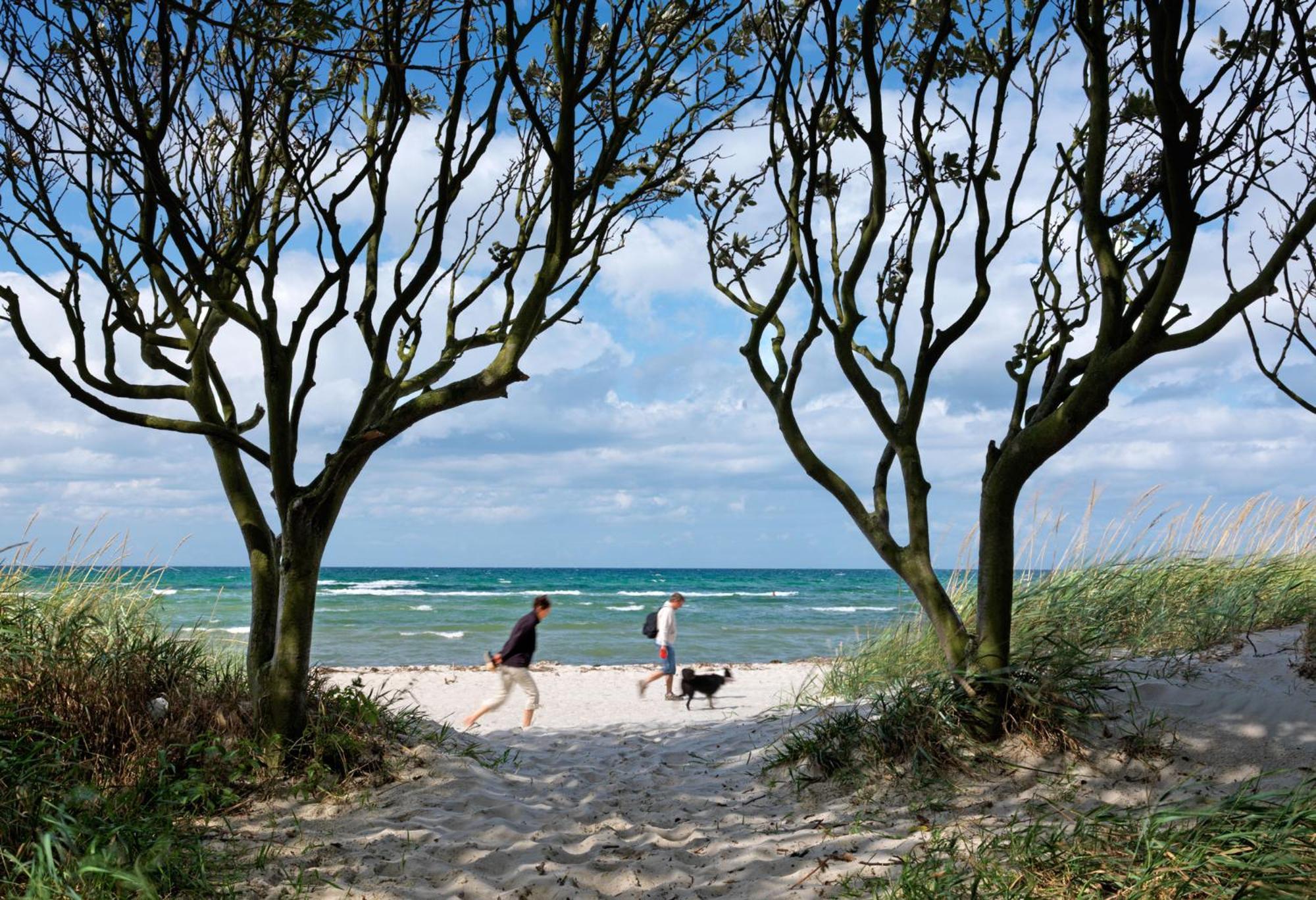 Gaude Tiet Daire Insel Poel Dış mekan fotoğraf